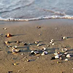 In 43487 Apartment Bibione