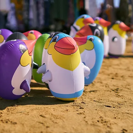 In 43487 Бібіоне