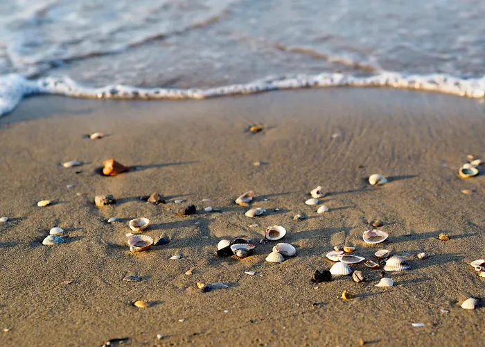 In 43487 Appartement Bibione