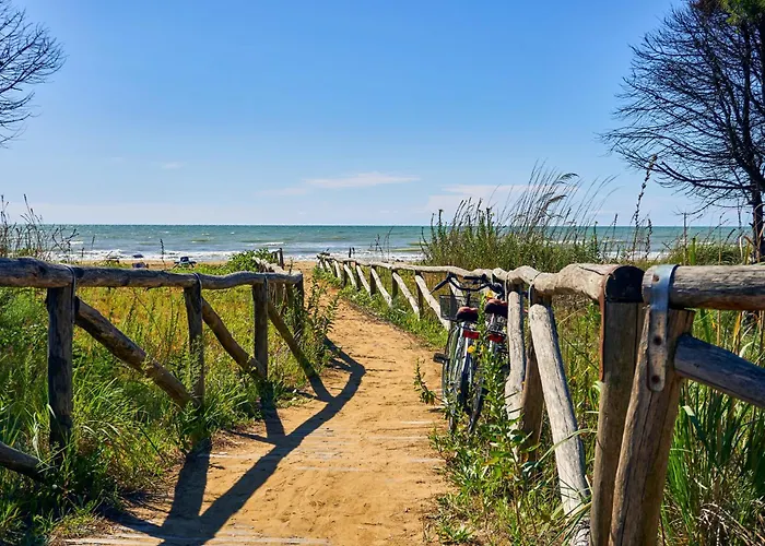 In 43487 Appartement